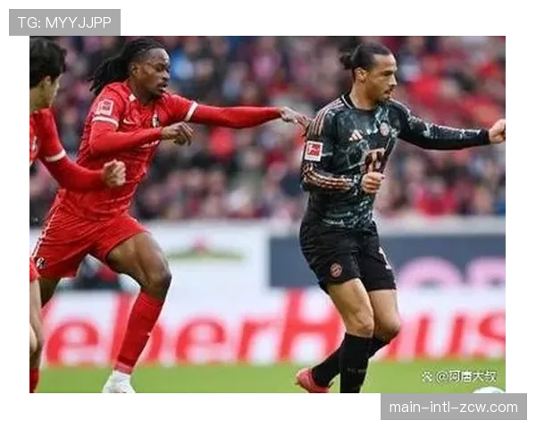 德甲第30轮赛果深度统计：升降级悬念未减，数据揭示保级大战细节